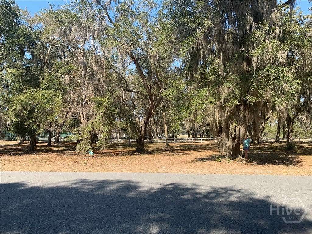 0.5 Acres of Residential Land for Sale in Townsend, Georgia