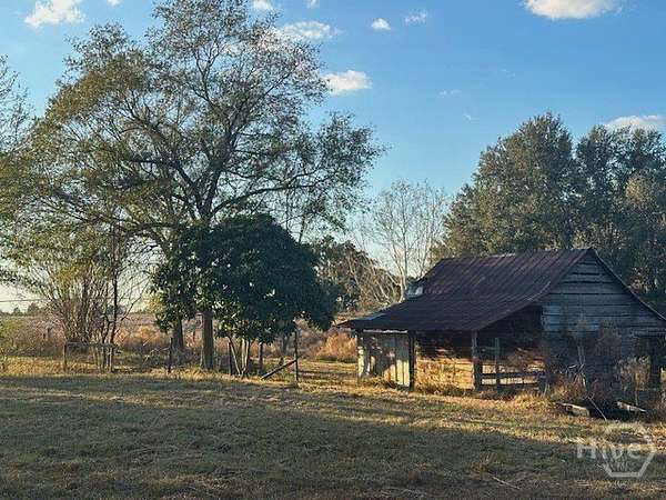 23.9 Acres of Land for Sale in Claxton, Georgia