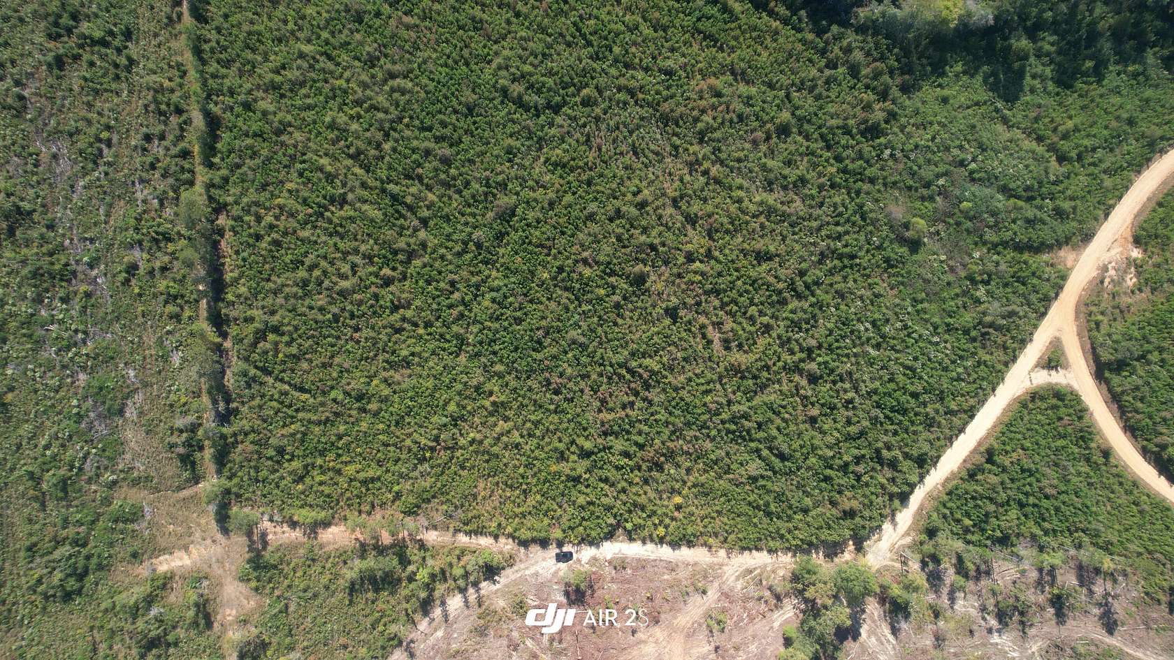18.1 Acres of Land for Sale in Edgefield, South Carolina