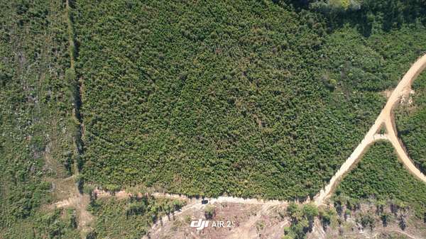 18.1 Acres of Land for Sale in Edgefield, South Carolina