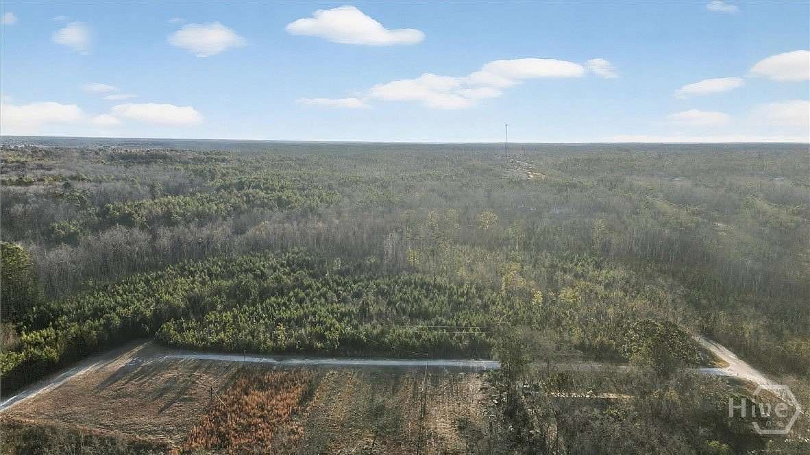 0.46 Acres of Land for Sale in Sardis, Georgia