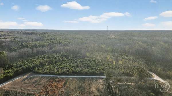 0.46 Acres of Land for Sale in Sardis, Georgia