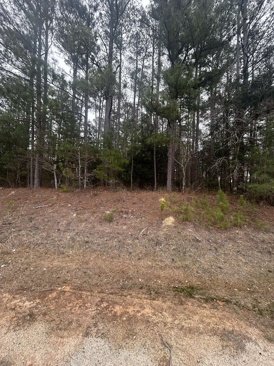16.9 Acres of Recreational & Residential Land for Sale in Lincolnton, Georgia