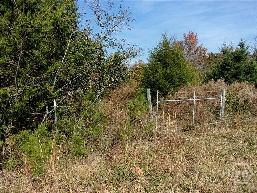 23.8 Acres of Recreational Land for Sale in Carlton, Georgia