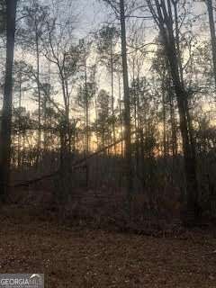 37 Acres of Land for Sale in Monroe, Georgia