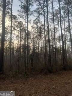 37 Acres of Land for Sale in Monroe, Georgia