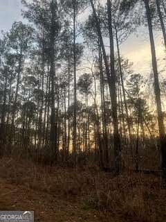 37 Acres of Land for Sale in Monroe, Georgia
