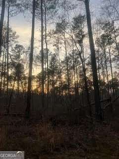 37 Acres of Land for Sale in Monroe, Georgia