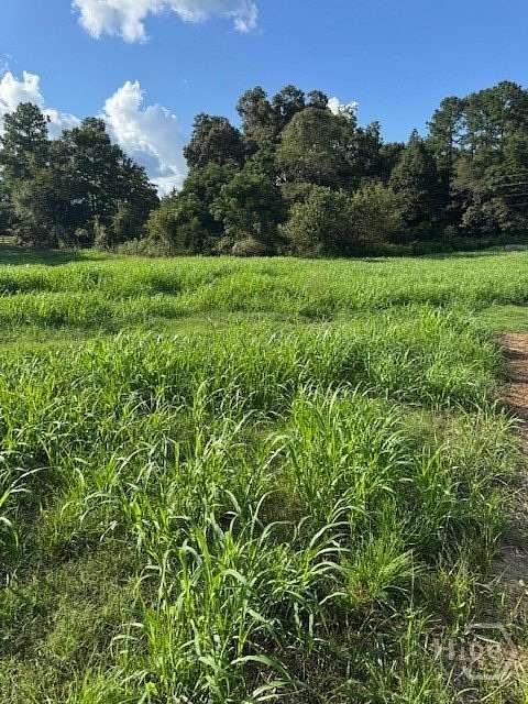 8 Acres of Residential Land for Sale in Jefferson, Georgia