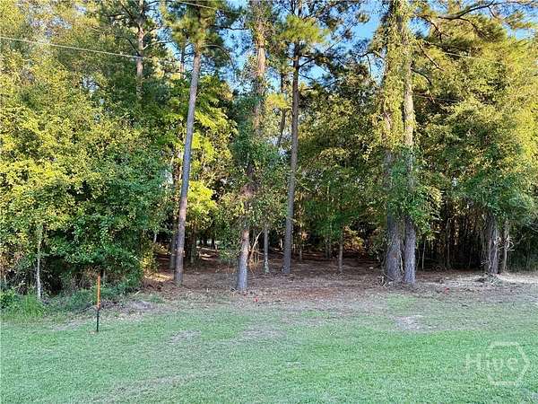 1 Acre of Residential Land for Sale in Sylvania, Georgia