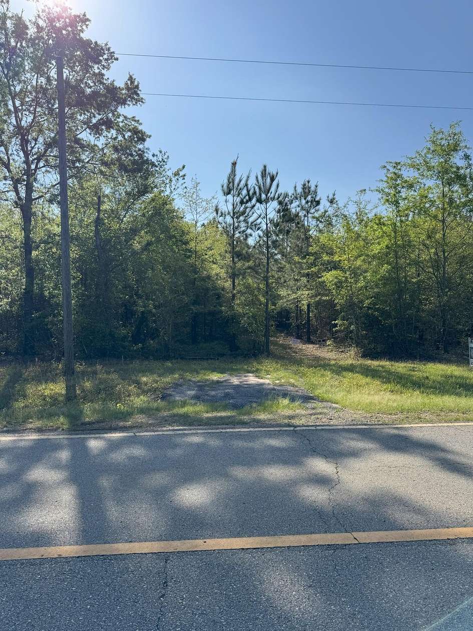 28.3 Acres of Recreational & Residential Land for Sale in Louisville, Georgia