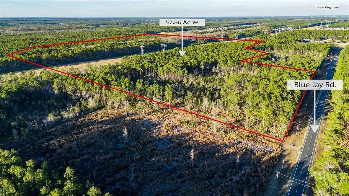 73.8 Acres of Land for Sale in Guyton, Georgia