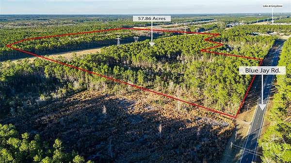 73.8 Acres of Land for Sale in Guyton, Georgia