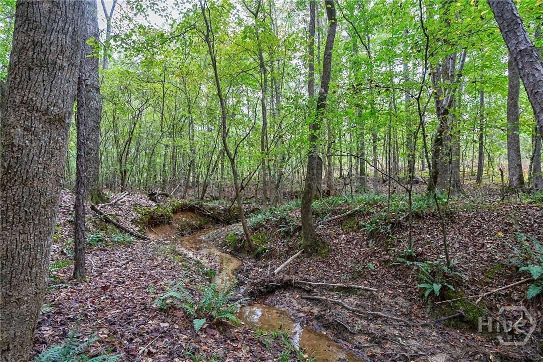 85 Acres of Recreational & Residential Land for Sale in Stephens, Georgia