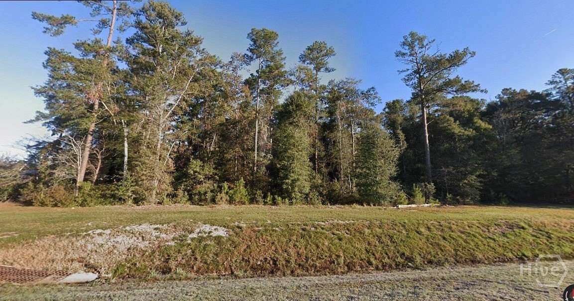 13.1 Acres of Commercial Land for Sale in Springfield, Georgia