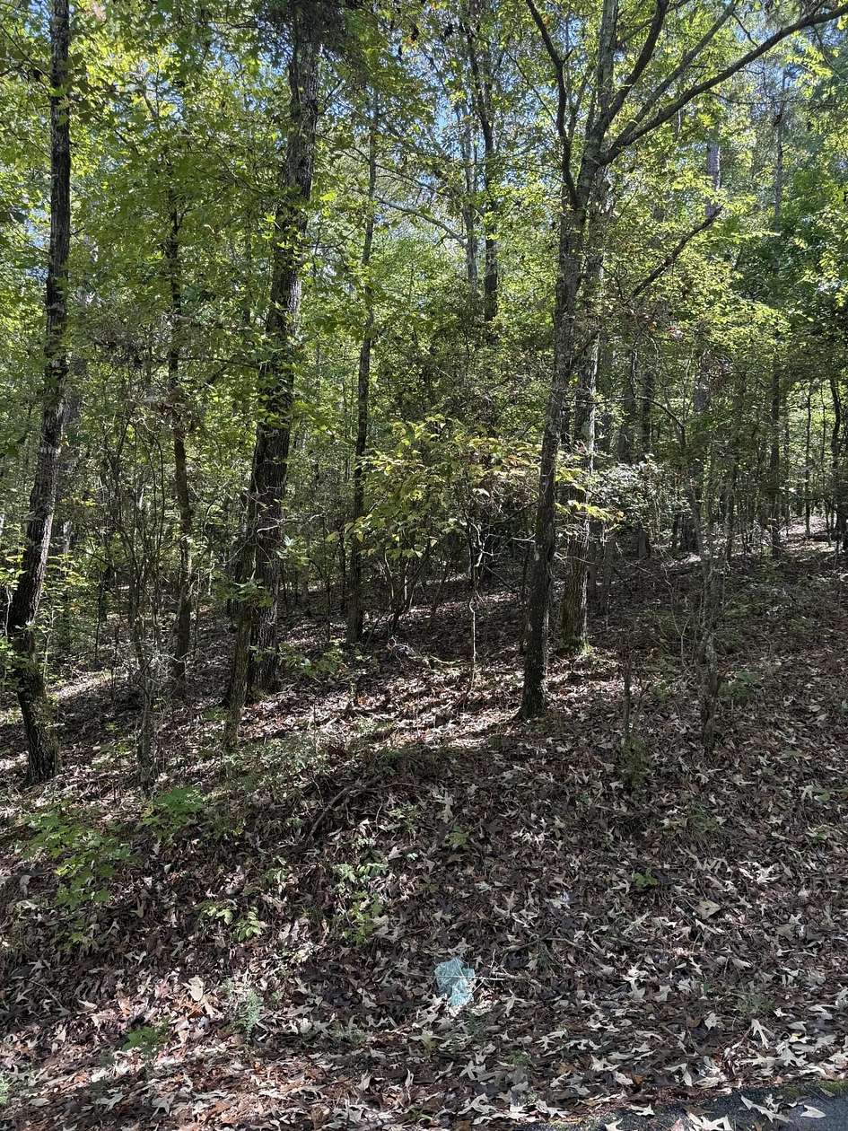 0.4 Acres of Residential Land for Sale in Tignall, Georgia