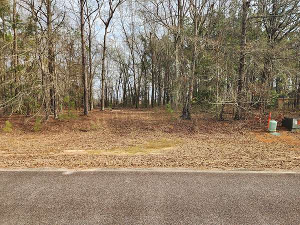 3 Acres of Residential Land for Sale in Louisville, Georgia