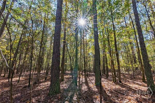 67.6 Acres of Recreational Land for Sale in Arnoldsville, Georgia