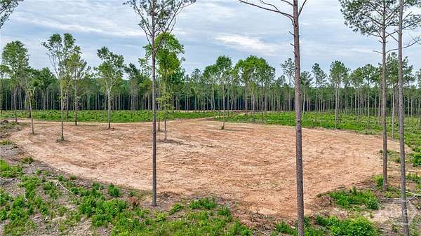 67.6 Acres of Recreational Land for Sale in Arnoldsville, Georgia