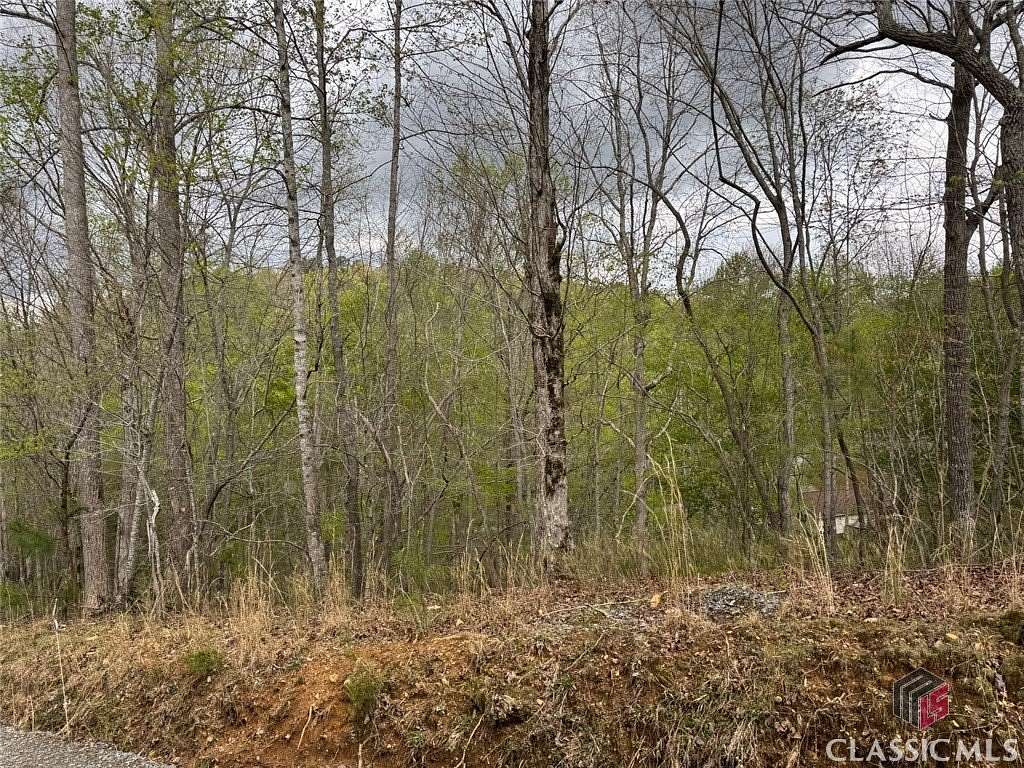 0.71 Acres of Land for Sale in Ellijay, Georgia