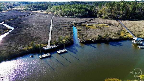 21 Acres of Land for Sale in Townsend, Georgia