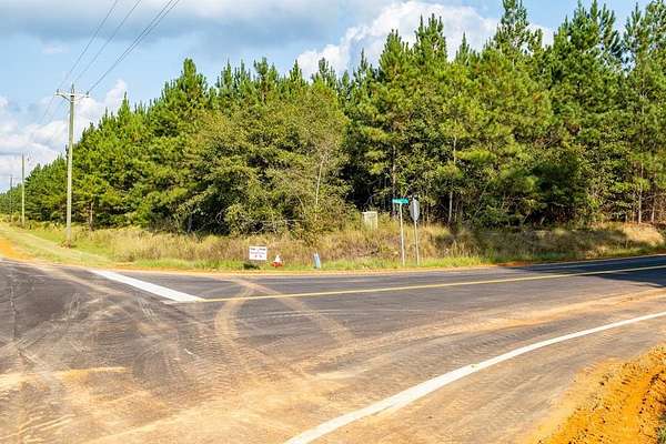 80 Acres of Land for Sale in Trenton, South Carolina