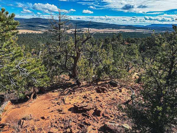 49.9 Acres of Recreational & Residential Land for Sale in Rowe, New Mexico