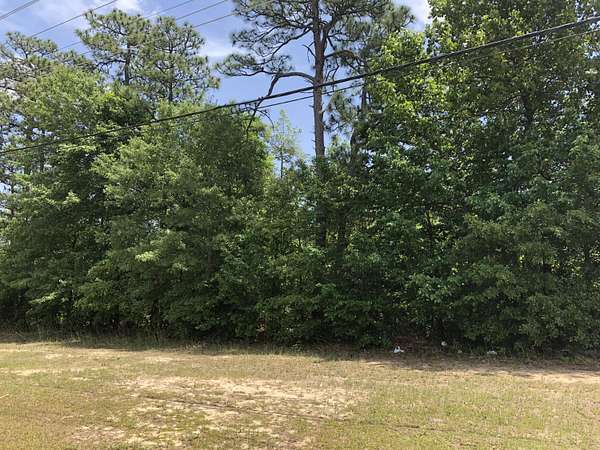 36.5 Acres of Land for Sale in Hephzibah, Georgia