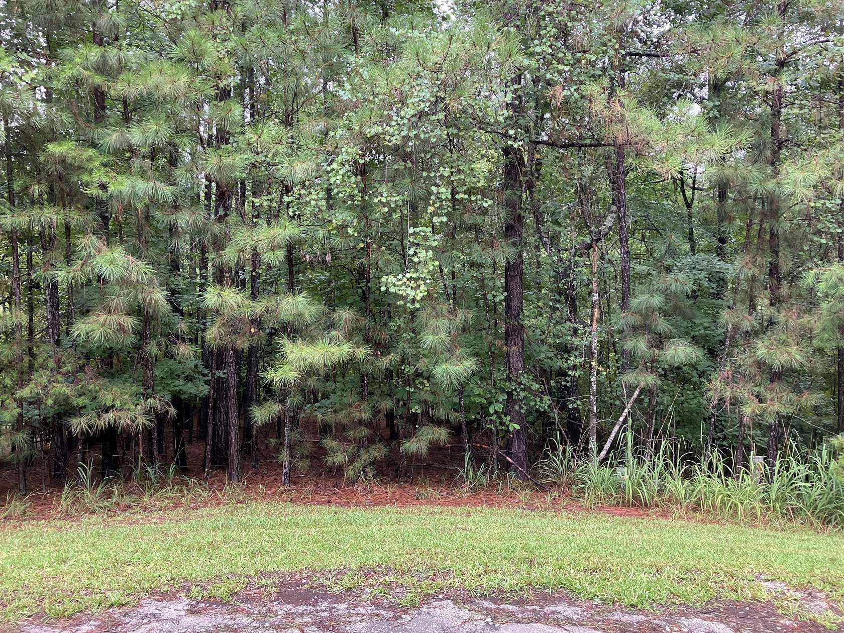 0.42 Acres of Residential Land for Sale in McCormick, South Carolina