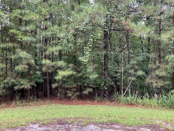 0.42 Acres of Residential Land for Sale in McCormick, South Carolina
