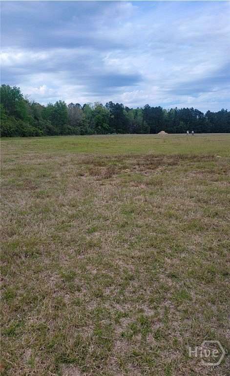 11.5 Acres of Recreational & Residential Land for Sale in Ludowici, Georgia