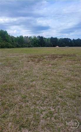 11.5 Acres of Recreational & Residential Land for Sale in Ludowici, Georgia