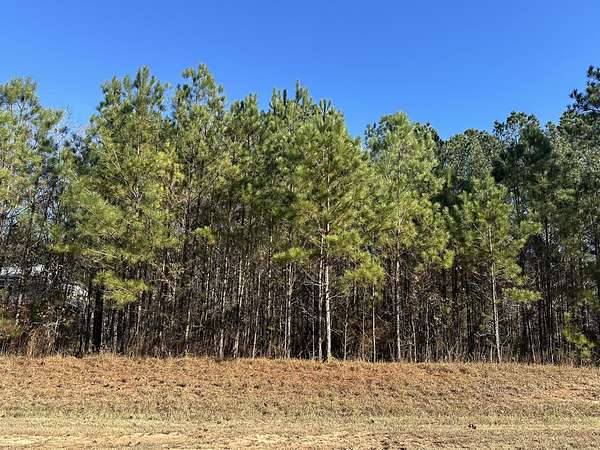 0.75 Acres of Residential Land for Sale in Lincolnton, Georgia