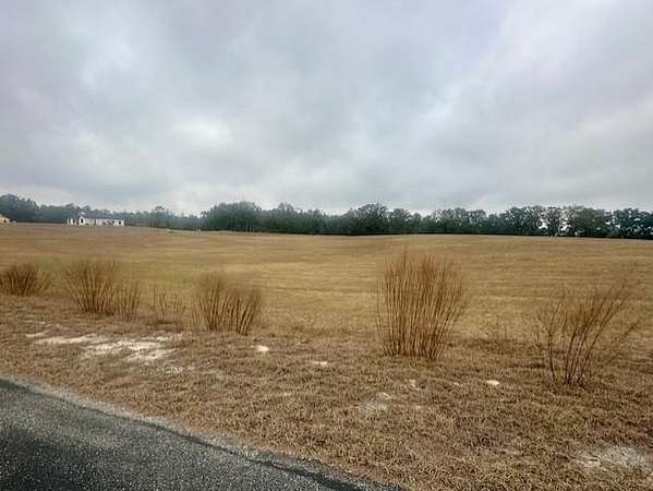 5 Acres of Residential Land for Sale in Bell, Florida