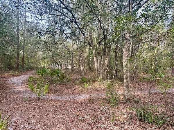 1 Acre of Residential Land for Sale in Bell, Florida