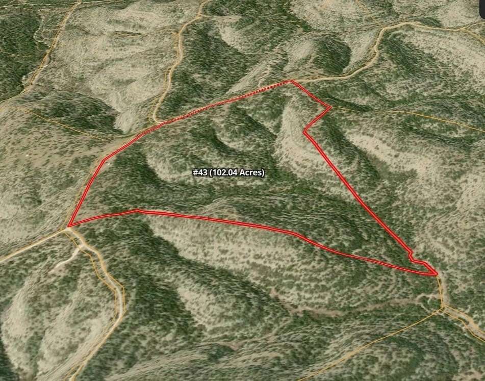 102 Acres of Recreational & Residential Land for Sale in Del Rio, Texas