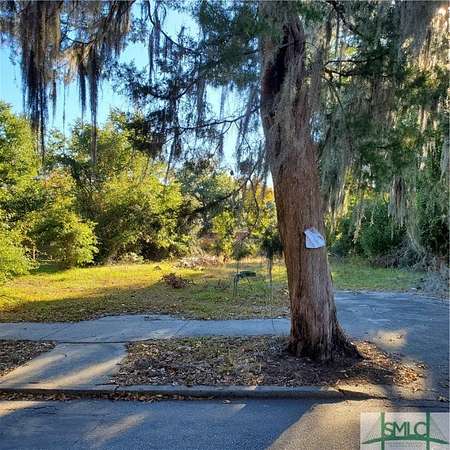 0.07 Acres of Residential Land for Sale in Savannah, Georgia