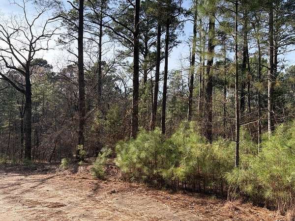 0.42 Acres of Residential Land for Sale in Flint, Texas