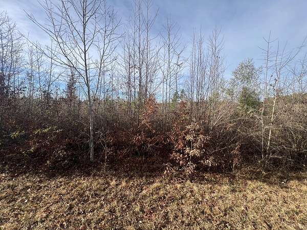 5 Acres of Residential Land for Sale in Lincolnton, Georgia