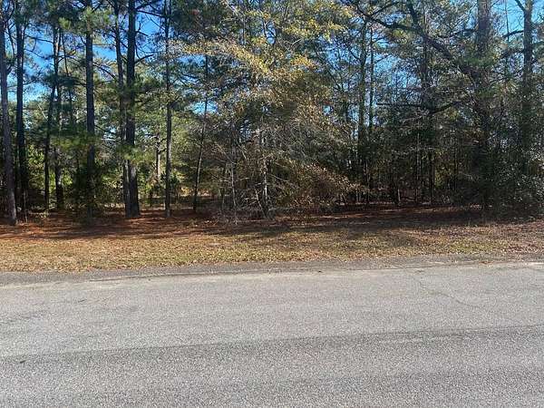 2 Acres of Residential Land for Sale in New Ellenton, South Carolina