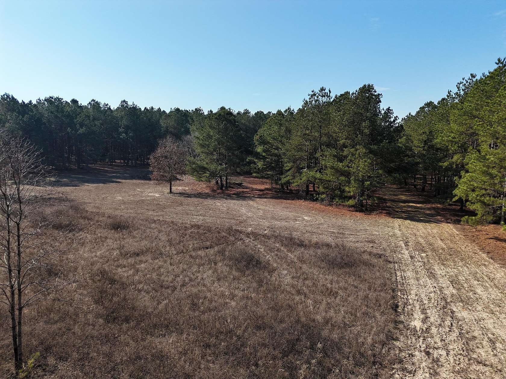 56 Acres of Recreational & Residential Land for Sale in Waynesboro, Georgia