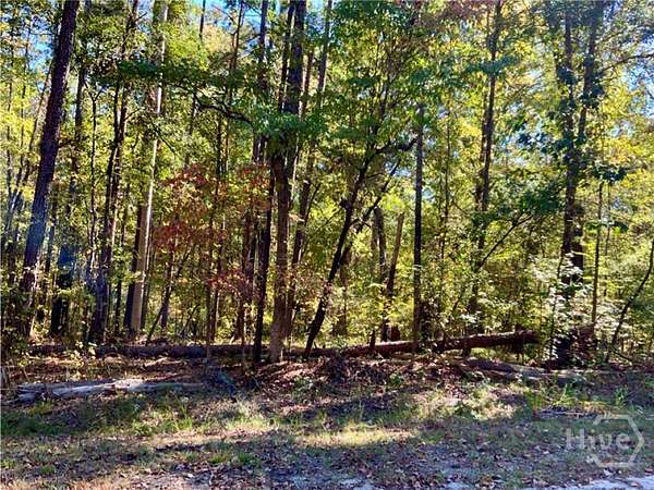 0.5 Acres of Residential Land for Sale in Sparta, Georgia