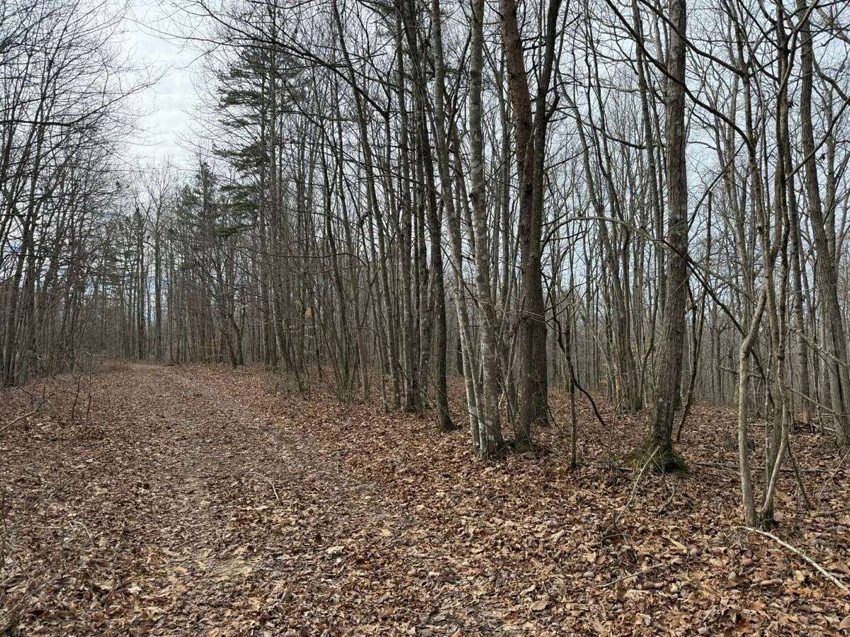 6.2 Acres of Land for Sale in Wilder, Tennessee