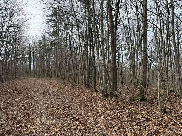 6.2 Acres of Land for Sale in Wilder, Tennessee
