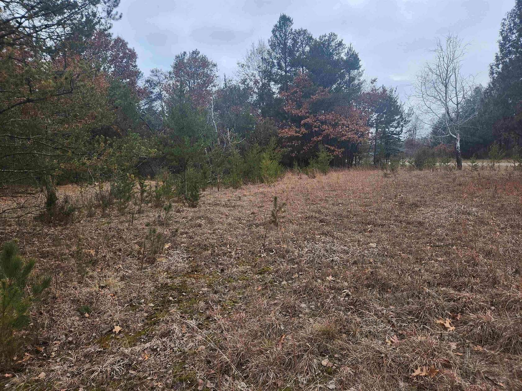 1 Acre of Residential Land for Sale in Nekoosa, Wisconsin