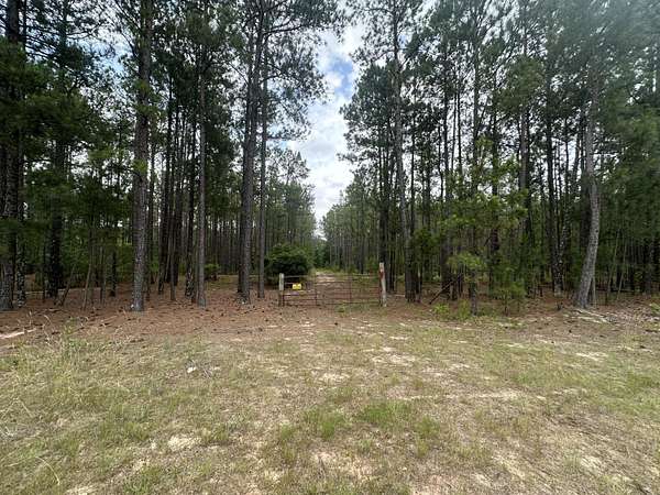 29.3 Acres of Recreational Land for Sale in Graniteville, South Carolina
