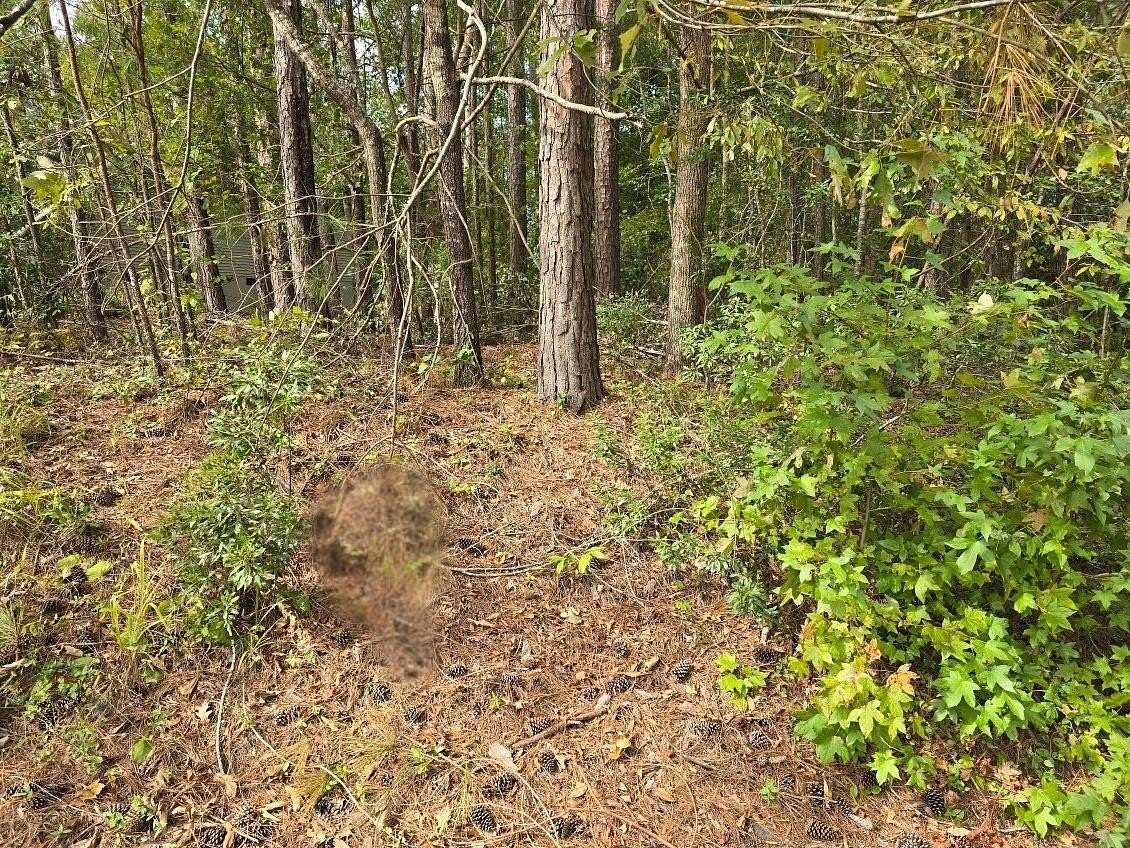 0.31 Acres of Land for Sale in McCormick, South Carolina