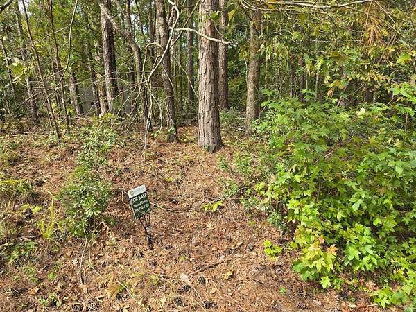 0.31 Acres of Land for Sale in McCormick, South Carolina