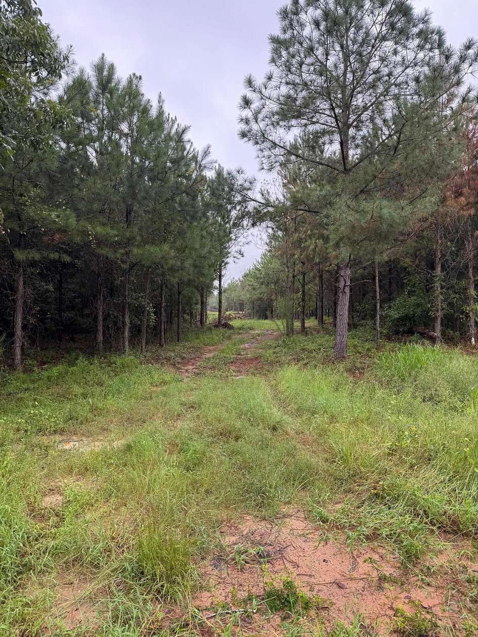 11.2 Acres of Land for Sale in Waynesboro, Georgia