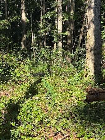 9 Acres of Residential Land for Sale in Jefferson, Georgia